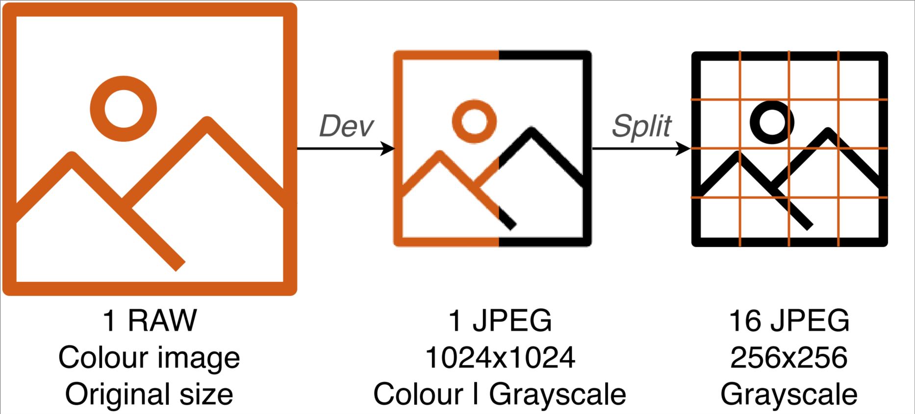 Diagramme du processus de développement des images RAW en JPEG 256×256